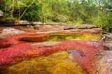 Reanudan ingreso a Caño Cristales