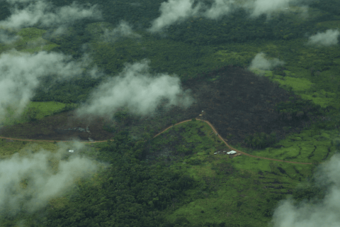 Los expedientes por hallazgo de 1.260 kilómetros de vías ilegales en la Amazonía