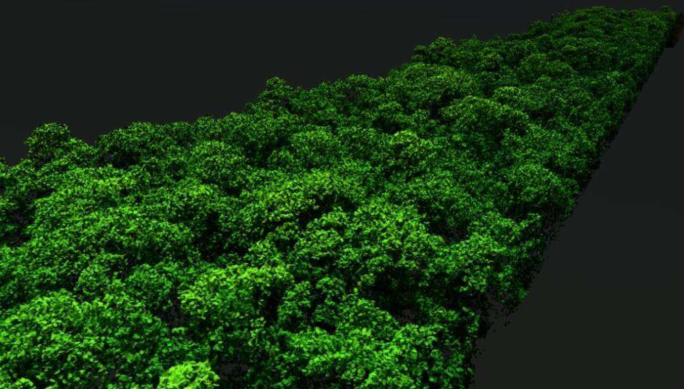 Imagen aérea de la Amazonia (referencia).