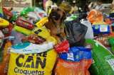 Así se siguen sumando empresas a la recolección de insumos para mascotas y familias