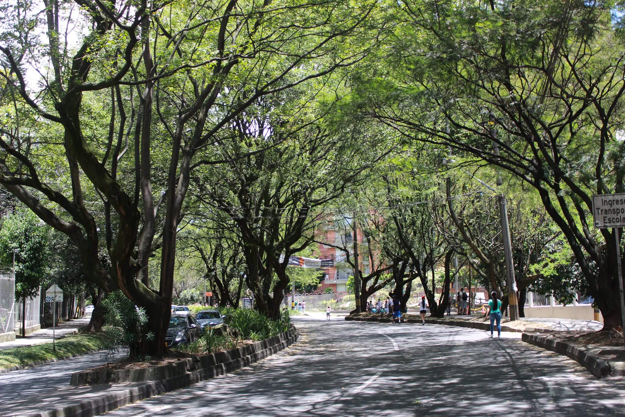 La pelea por el Túnel Verde ha sido uno de los pleitos ambientalistas más conocidos del Valle de Aburrá. / Tomada de Facebook