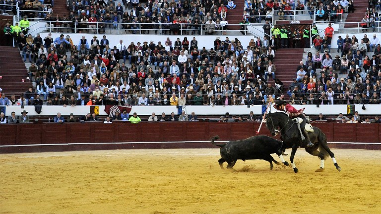 La cultura fuera del ruedo