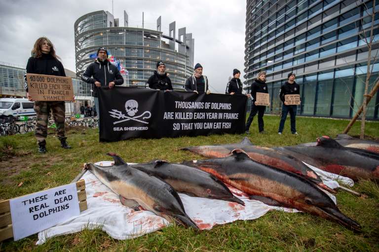 -FOTODELDÍA- ESTRASBURGO (FRANCIA), 14/03/2023.-Activistas de la ONG Sea Shepherds han transportado siete delfines muertos hasta las puertas del Parlamento Europeo en Estrasburgo este martes. La asociación para la defensa de los océanos pide así al gobierno galo una mejora sustancial en la regulación de pesca. EFE/ Julien Warnand