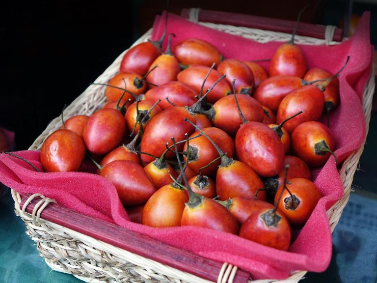 Tomate de árbol: estos son sus beneficios a la hora de bajar de peso