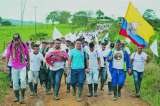 Capturan a dos miembros de la Farc en ETCR de Tumaco, Nariño