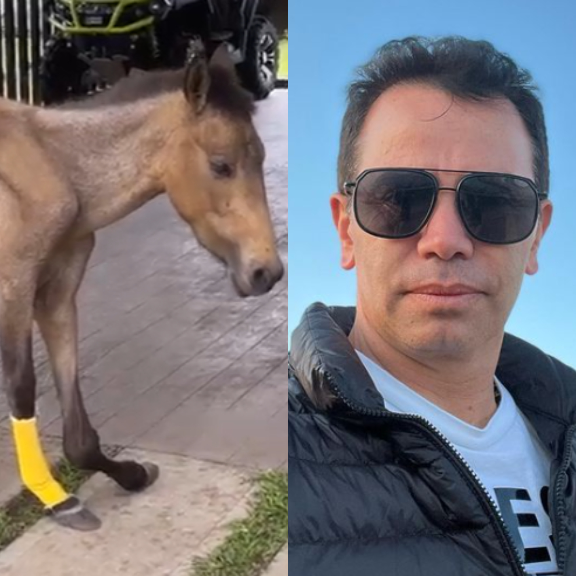 Jhonny Rivera pide apoyo en redes para una cirugía de su caballo
