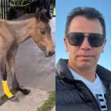 Jhonny Rivera pide ayuda para costosa cirugía de su caballo ‘Valentino’