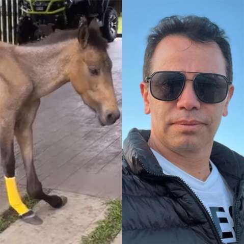 Jhonny Rivera pide ayuda para costosa cirugía de su caballo ‘Valentino’