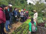Se gradúa la primera promoción de agricultores urbanos del Jardín Botánico de Bogotá