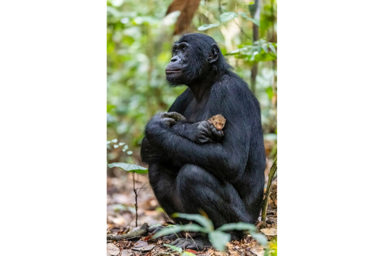 Ganadora categoría "Retratos de animales"