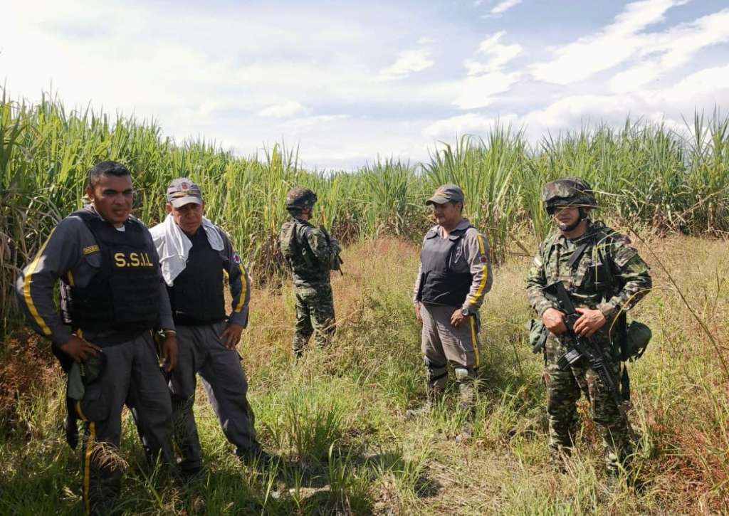 Estos trabajadores de Asocañas, dicen las autoridades, huyeron hacia los cultivos de caña para evitar ser secuestrados.