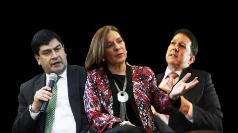 Y el procurador o procuradora será…