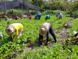 La agroecología para resolver desafíos mundiales en la producción de alimentos