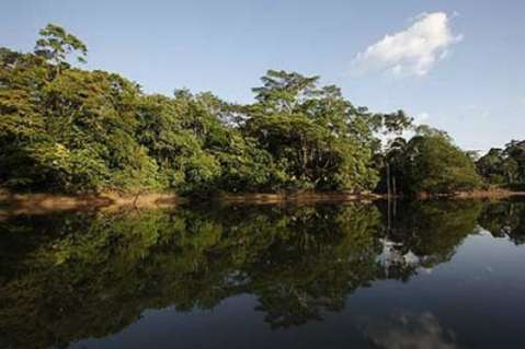 Buscan prohibir la explotación de petróleo en el Amazonas