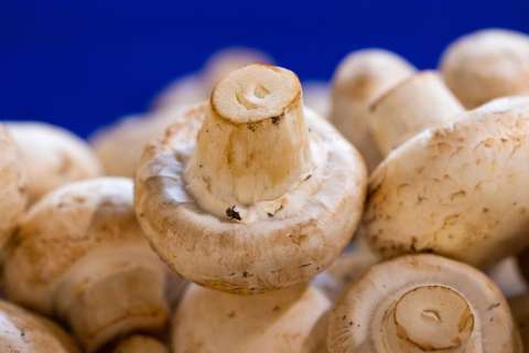 Recetas con champiñones: 3 opciones para que aproveches al máximo este ingrediente