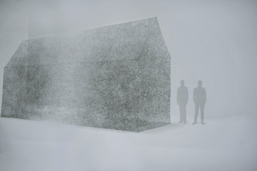 Doris Salcedo