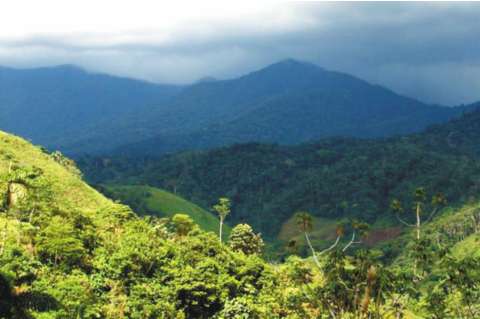 Se conoce el nombre de segunda víctima de masacre en Belén de los Andaquíes, Caquetá