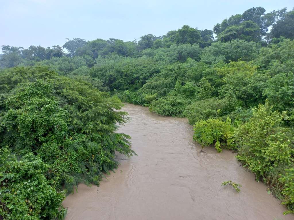 Arroyo Bruno