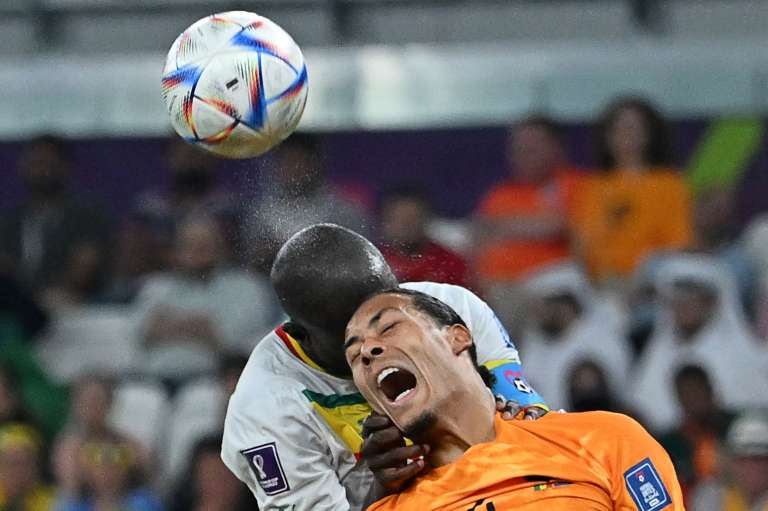 Países Bajos vs. Senegal, Mundial de Fútbol Catar 2022