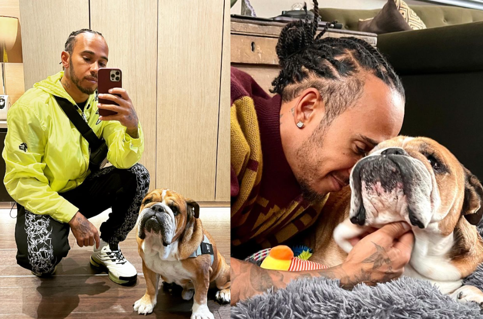Roscoe y Hamilton