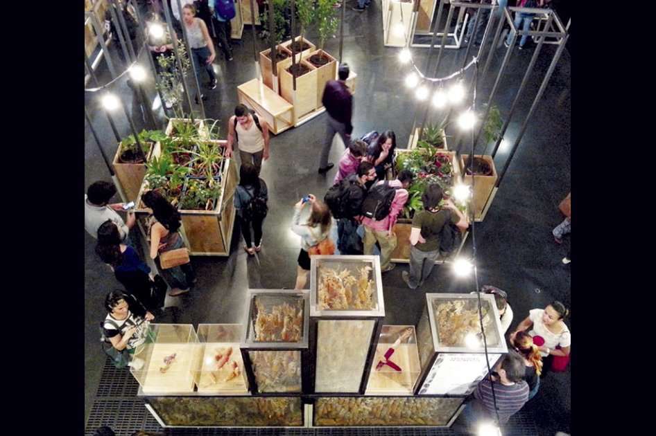 La exposición “Comer” fue inaugurada esta semana y estará abierta al público hasta octubre en Parque Explora de Medellín. / Óscar Pérez - El Espectador