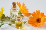 ¿Busca plantas antiinflamatorias? Aquí tiene cinco opciones para aliviar el dolor