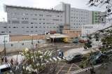 Tensión en Tenerife: protestan por llegada de crucero con pacientes de hantavirus