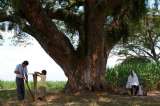 Filme colombiano "La tierra y la sombra" se estrena en Italia