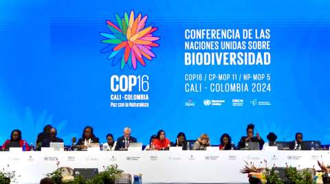 “En las COP siempre hay un momento de crisis el viernes”