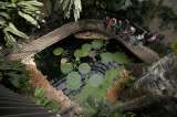 Semana Ambiental en Bogotá: Jardín Botánico anuncia actividades