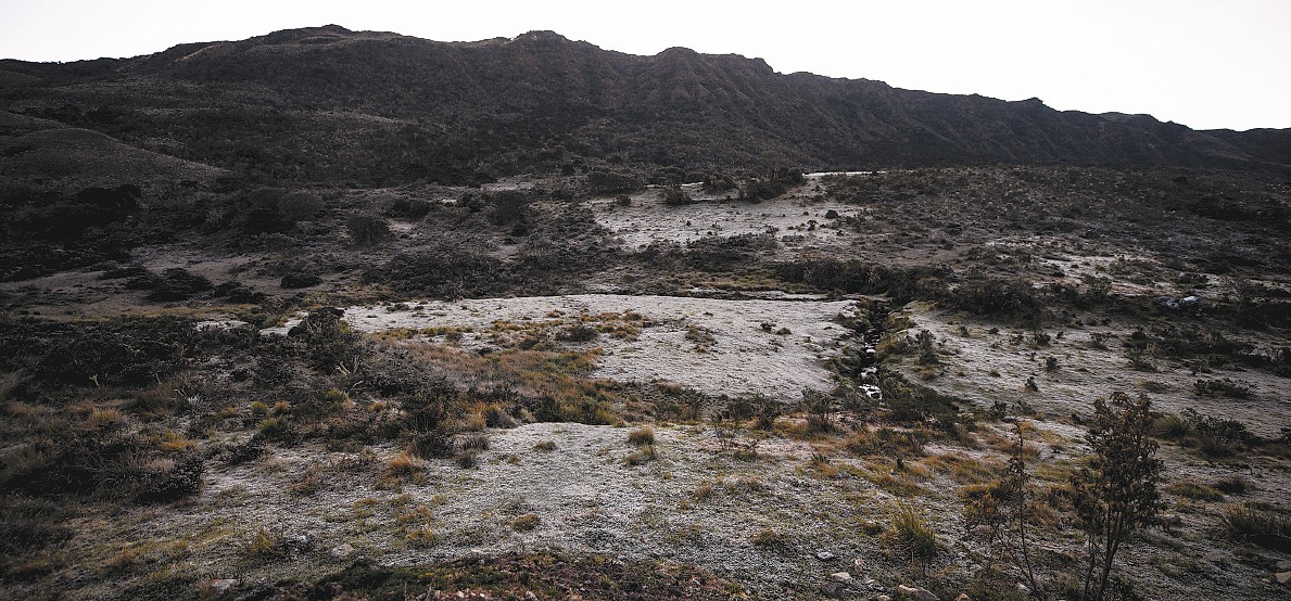 En todo Sumapaz hay más de 700 fincas campesinas. A falta de un censo oficial, los mismos agricultores calculan que de estas hay casi 200 familias que, así como la de Bernal, han resultado afectadas por los abruptos cambios de clima de inicio de año. Si bien las heladas se presentan cada año, lo cierto es que en los últimos el clima no había sido tan feroz con los cultivos. “Como hace tantos años no caían tan duro las heladas, le fuimos cogiendo confianza y no era tan complicado sacar una cosecha. Pero este año todo cambió, pues las heladas quemaron gran parte de los cultivos. El problema se resume en que tenemos un páramo al lado, pero hasta el agua se redujo por el verano y hoy nos toca defendernos con lo que hay”, explica Bernal.