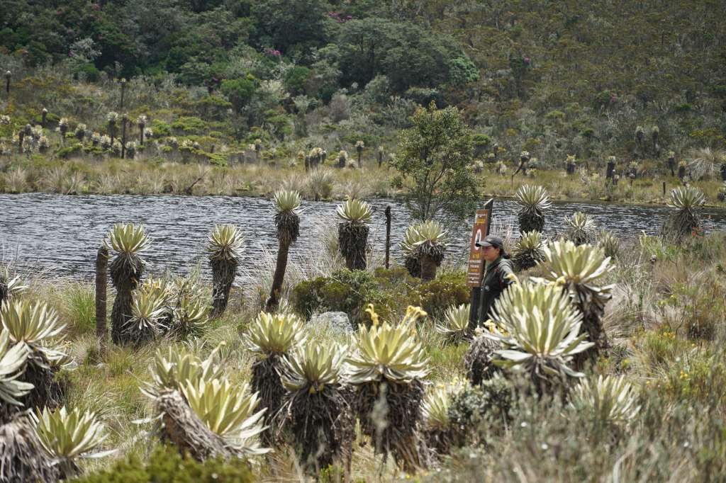 Audiencia pública sobre laguna de iguaque