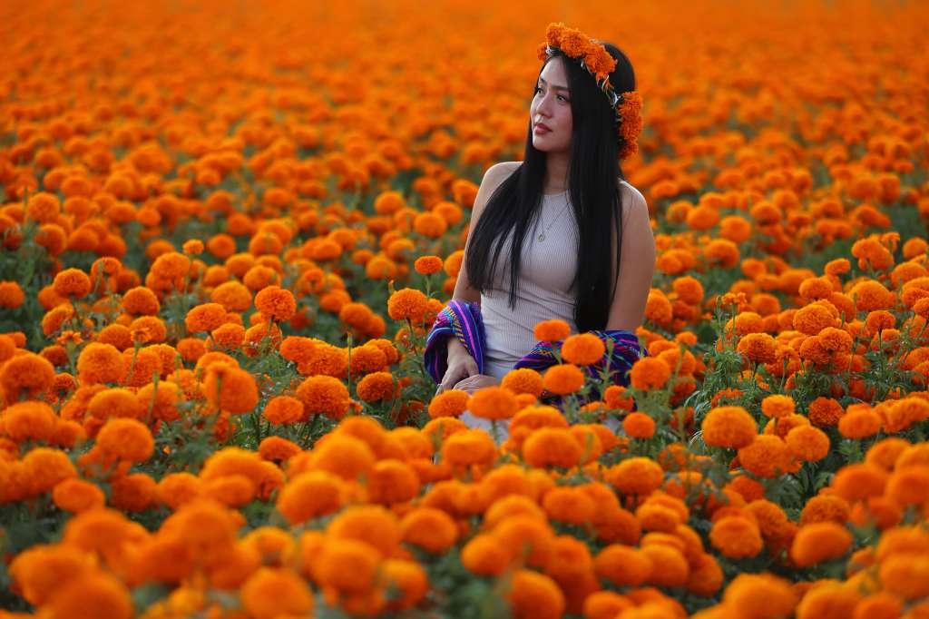 -FOTODELDÍA- MEX3781. TLAJOMULCO DE ZÚÑIGA (MÉXICO), 28/10/2024.- Una mujer posa en un campo de flor de cempasúchil este lunes, en Tlajomulco de Zúñiga en el estado de Jalisco (México). Rodeados de colorido, belleza y tradición, visitantes disfrutan de los campos de flor de cempasúchil, que desde meses atrás cosechan los agricultores para decorar panteones y altares del Día de Muertos el 1 y 2 de noviembre. EFE/ Francisco Guasco