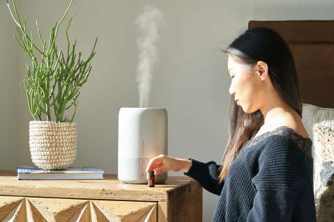 Humidificadores y plantas: ¿aliados contra el aire seco?