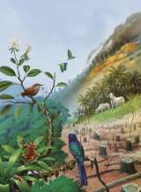 Aves más vulnerables y aumento de especies exóticas, algunos de los efectos del cambio climático en Colombia