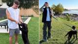 Joven renuncia a salario de 3.500 dólares al mes para darle mejor calidad de vida a su perro