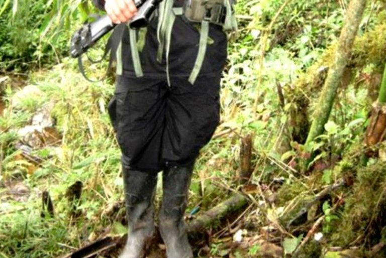 Piden avalar al ICBF como encargado de recibir a niños de las Farc