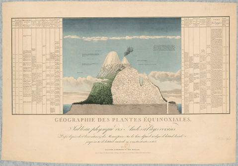 Alexander von Humboldt, “el cuadro de la naturaleza” y la búsqueda de un orden global