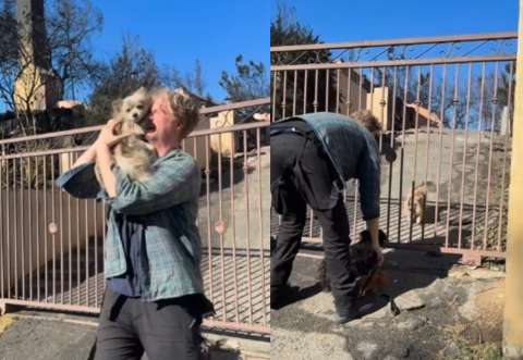 Así fue el reencuentro de Oreo y su dueño tras sobrevivir al fuego en Los Ángeles