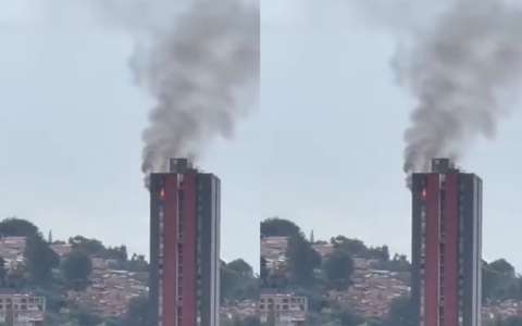Murieron cinco mascotas tras incendio en un apartamento en Medellín