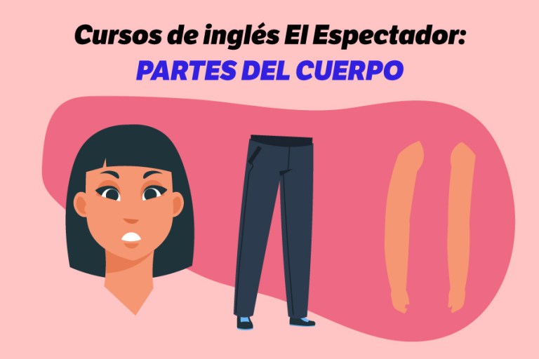 Estas son las partes del cuerpo en inglés