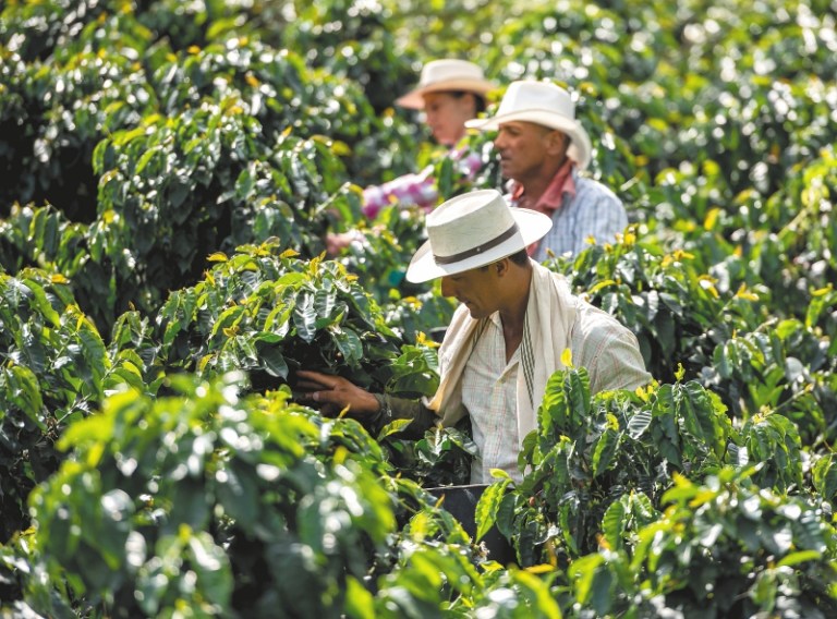 Un compromiso regional en marcha por la seguridad alimentaria y un futuro sostenible