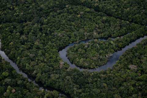 Naciones Unidas reconoce el derecho a un ambiente sano como derecho humano