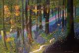 “Reflejos en colores”, en Bogotá: una exposición centrada en el color