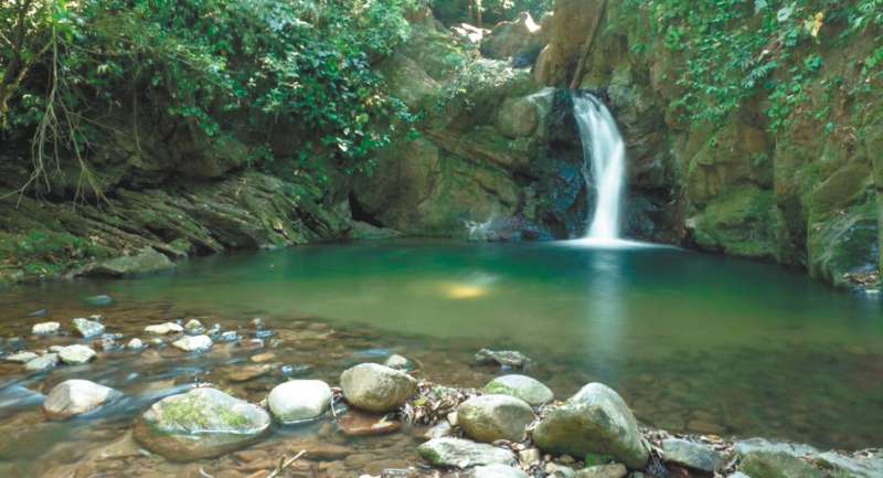  En el evento, la conversación se dio en torno a tres enfoques: conservación, restauración y gestión del uso. / WWF Colombia
