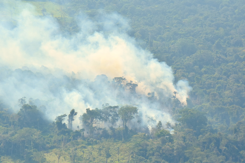 Los científicos estiman que el 37 % de las emisiones de mercurio a ambientes acuáticos provienen de la deforestación y de los incendios forestales. De esta manera, la deforestación en la amazonia colombiana y brasileña, también incide en los niveles de mercurio que se han detectado en los delfines rozados.