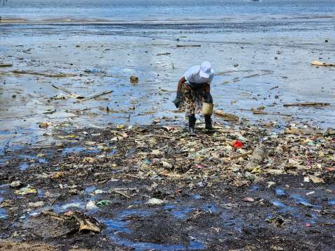 Esta organización evita que toneladas de basura queden en las playas de Colombia