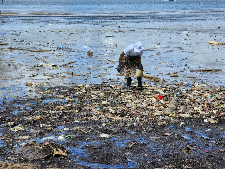 Esta organización evita que toneladas de basura queden en las playas de Colombia