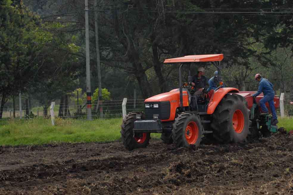 La Cepal recomendó  invertir en innovación tecnológica en sectores como el agro. 