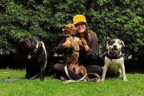 La Fundación Colitas Felices cuida 135 perros callejeros y busca apoyo